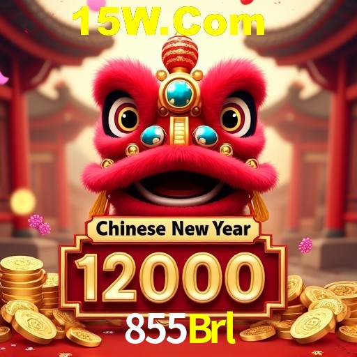 A Emoção da Loteria na 855Brl: Uma Chance de Mudança de Vida