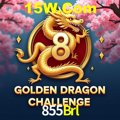 A Emoção da Loteria na 855Brl: Uma Chance de Mudança de Vida