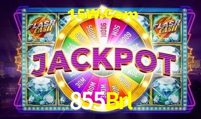 Integração de APIs 855Brl