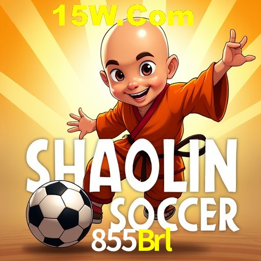 Security Systems 855Brl